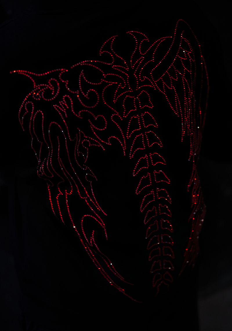 Good & Evil Hoodie (Ruby)